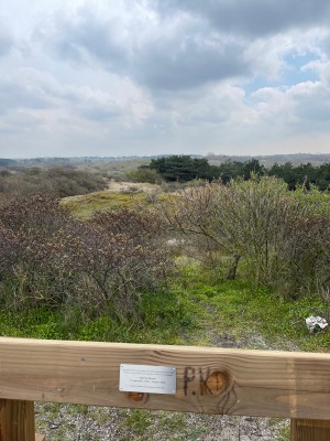 Imagen 1 de Arjen sobre Black Diamond - Stormline Stretch Full Zip Rain Pants - Pantalones impermeables