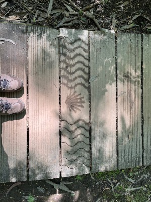 Imagen 1 de Anette sobre CEP - Women's Hiking Merino Mid-Cut Socks - Calcetines de compresión