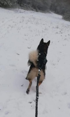 Imagen 1 de Julia sobre ENDURANCE - Women's Energy Winter Tights - Mallas de running