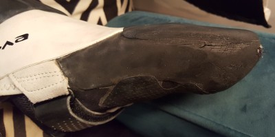 Imagen 1 de Emilie sobre Evolv - Zenist - Pies de gato