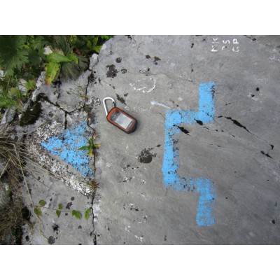 Imagen 1 de Samuel sobre Garmin - eTrex 20x TopoActive Westeuropa - Dispositivo GPS