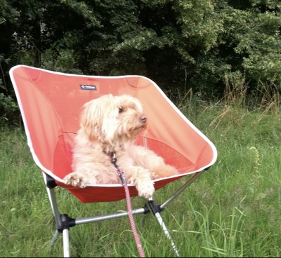 Imagen 1 de Katja sobre Helinox - Chair One XL - Silla de camping