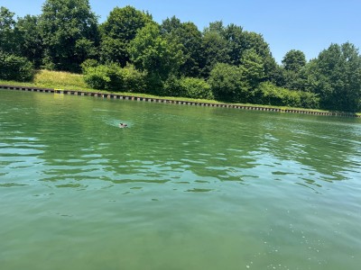 Imagen 1 de Inge sobre Keen - Women's Hyperport H2 - Sandalias