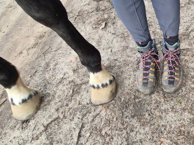 Imagen 1 de Ines sobre La Sportiva - Women's Trango TRK Leather GTX - Botas de trekking