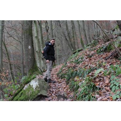 Imagen 1 de Thilo sobre Lowa - Camino GTX - Botas de trekking