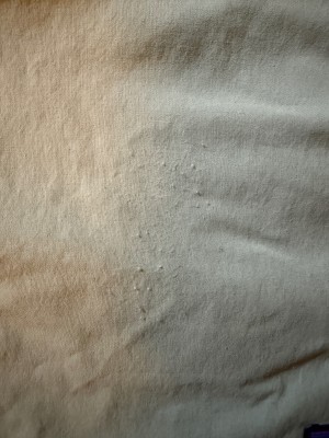 Imagen 1 de Nick sobre Patagonia - Baggies Lights 6'' - Pantalones cortos