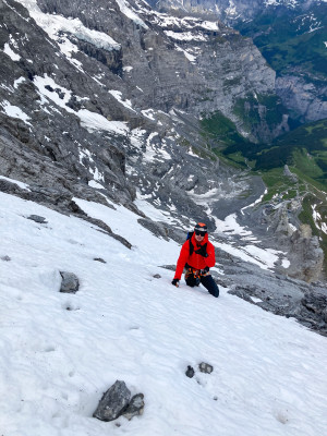 Imagen 1 de Niels sobre Petzl - Summit Evo - Piolets