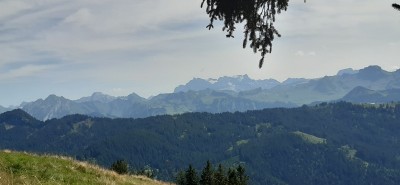 Imagen 1 de Bruno sobre Scarpa - Mojito Trail GTX Suede - Zapatillas multideporte