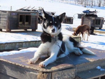 Imagen 1 de Ingrid sobre Sealskinz - Beetley - Pasamontañas