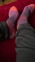 Imagen 2 de Susan sobre Darn Tough - Women's Light Hiker No Show Lightweight w Cushion - Calcetines de trekking