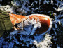 Imagen 3 de Dirk sobre Duckfeet - Odense - Botas invierno