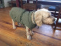 Imagen 2 de Nadja sobre Hunter - Dog Coat Uppsala Trend - Abrigos para perro