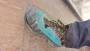 Imagen 2 de MARCIN sobre La Sportiva - TX4 Evo GTX - Zapatillas de aproximación