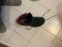 Imagen 2 de Marianna Almpoura sobre La Sportiva - Women's TXS GTX - Botas de trekking