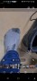 Imagen 2 de karl sobre Lowa - Taurus Pro GTX Mid - Botas de trekking