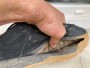 Imagen 2 de Quentin sobre Northwave - Rockit - Zapatillas de ciclismo