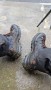 Imagen 3 de matiss sobre Salewa - Alp Mate Winter Mid Waterproof - Botas invierno