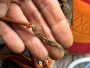 Imagen 5 de erick sobre Scarpa - Mescalito - Zapatillas de aproximación