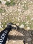 Imagen 1 de Veronika sobre Scarpa - Women's Rush Trek Pro GTX - Botas de trekking