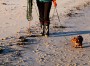 Imagen 1 de Jolanta sobre Tretorn - Women's Skanör - Botas de agua